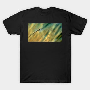 Droplet Covered Grass T-Shirt